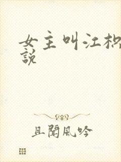 女主叫江枳的小说