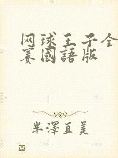 网球王子全国大赛国语版