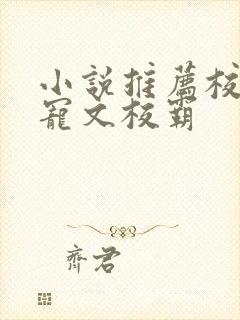 小说推荐校园甜宠文校霸