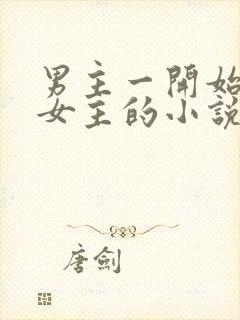 男主一开始嫌弃女主的小说