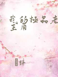 我的极品老婆女主角