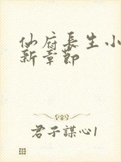 仙府长生小说最新章节