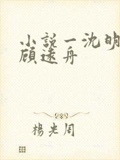 小说一沈明月,顾远舟