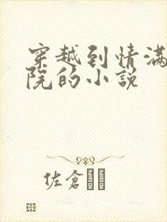 穿越到情满四合院的小说