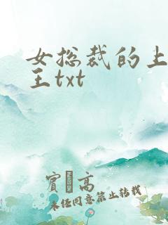 女总裁的上门兵王txt