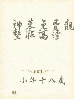 神墓免费观看完整版高清