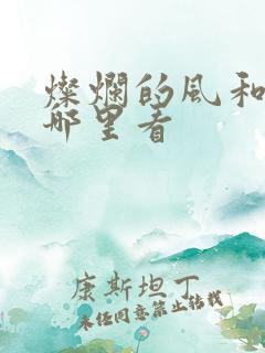 灿烂的风和海在哪里看