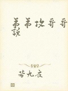 弟弟攻哥哥受小说