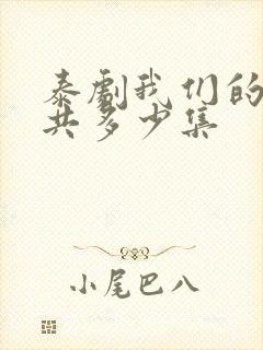 泰剧我们的爱一共多少集