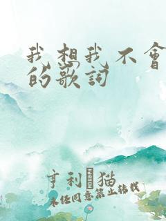 我想我不会爱你的歌词