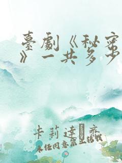 台剧《秘密关系》一共多少集