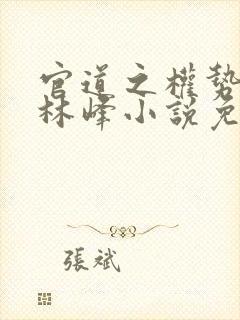 官道之权势滔天林峰小说免费阅读官路风云