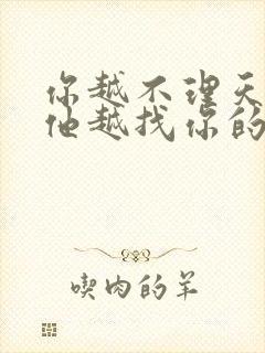 你越不理天秤男他越找你的原因