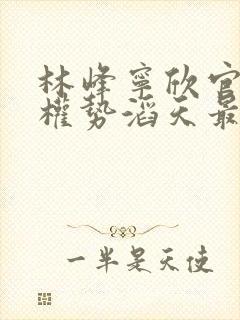 林峰宁欣官道之权势滔天最新更新章节