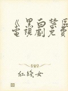 《 黑白禁区》电视剧免费看