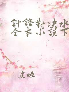 针锋对决水千丞全本小说下载