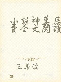 小说神墓辰东免费全文阅读