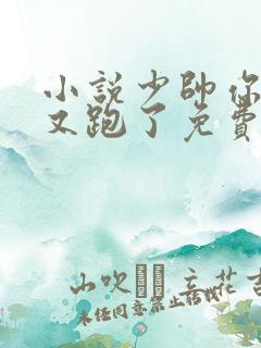 小说少帅你老婆又跑了免费