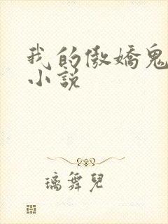 我的傲娇鬼夫 小说