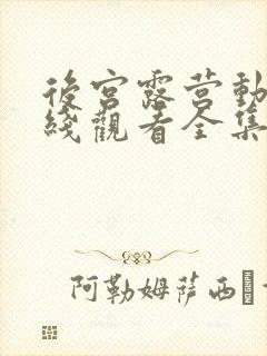 后宫露营动漫在线观看全集免费播放