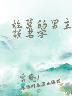 姓莫的男主角小说名字