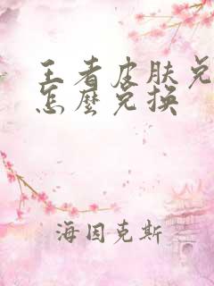 王者皮肤兑换码怎么兑换