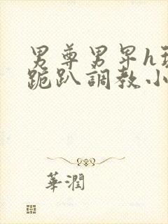 男尊男卑h玩弄跪趴调教小说