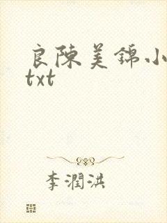 良陈美锦小说.txt