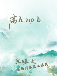 高h np bl