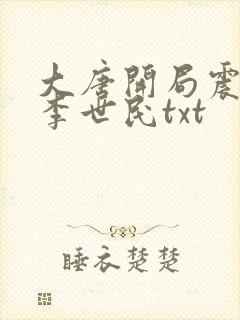 大唐开局震惊了李世民txt