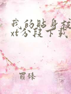 我的贴身校花txt分段下载