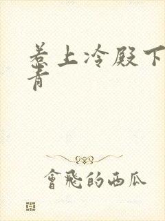 惹上冷殿下陈青青