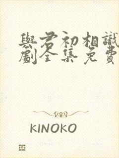 与君初相识电视剧全集免费观看