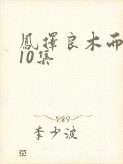 凤择良木而栖第10集