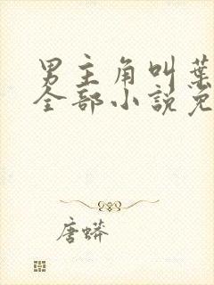 男主角叫叶晨的全部小说免费阅读