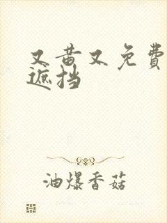 又黄又免费又无遮挡