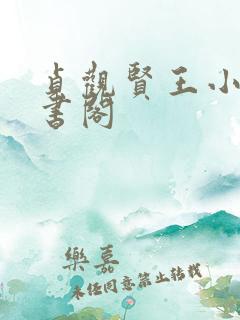 贞观贤王小说读书阁