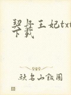 契丹王妃txt下载