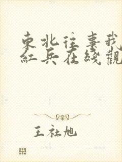 东北往事我叫赵红兵在线观看完整版高清