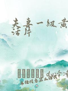 夫妻一级黄色生活片