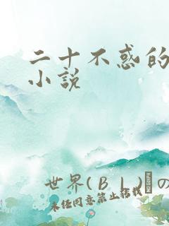 二十不惑的原著小说