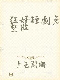 狂婿短剧免费完整版