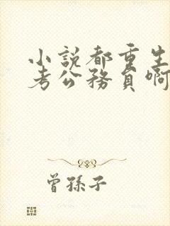 小说都重生了谁考公务员啊免费阅读