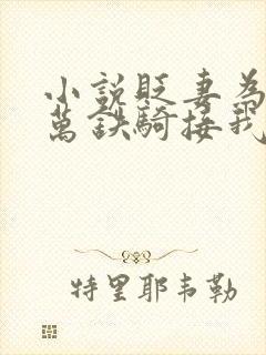 小说贬妻为妾十万铁骑接我回国登基