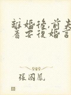 离婚后,前夫赖着要复婚言情小说