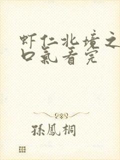 虾仁北境之王一口气看完