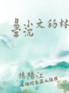 易小文的林知意宫沉