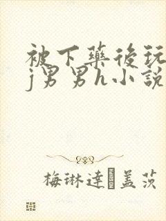 被下药后玩弄迷j男男h小说