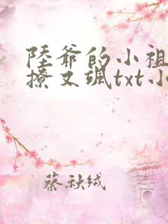 陆爷的小祖宗又撩又飒txt小说下载