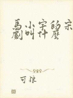 马小宇的宋察短剧叫什么